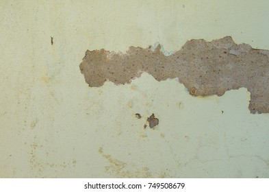 Wall With Peeling Paint, Paint Problem. Inadequate Paint System, Water Infiltration.