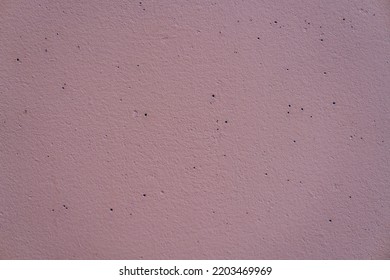 Wall Pink Painted. Wall Pink Texture