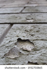 Wall Plaster Damaged By Rising Damp