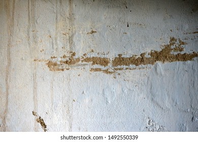 The Wall Is Plastered. Old Ugly Wall. Background Or Ragged Wall Texture For Design