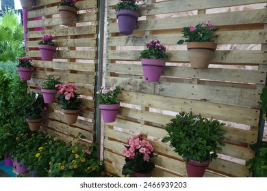 A wall of potted plants with a wooden frame. The plants are in various sizes and colors, including pink and purple. The wall is decorated with a mix of plants and pots, creating a vibrant - Powered by Shutterstock