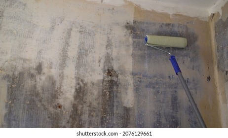 Wall Repair, Wall Priming With A Roller. Painter At Home Renovation Work With Prime. Wall Primer Coating With Priming Roller.