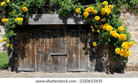 wall with roses and wooden door