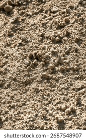 A wall with a rough, bumpy texture. The wall is made of concrete and has a lot of small holes and bumps