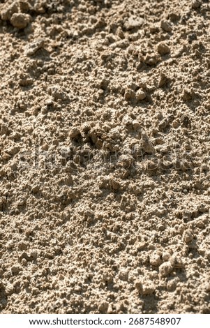A wall with a rough, bumpy texture. The wall is made of concrete and has a lot of small holes and bumps