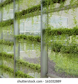 95,113 Office plant wall Images, Stock Photos & Vectors | Shutterstock