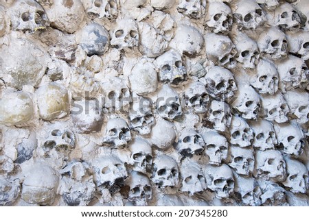 A wall of skulls - background