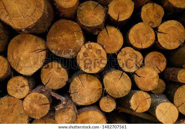Wall Stacked Wood Logs Background Stack Royalty Free Stock Image