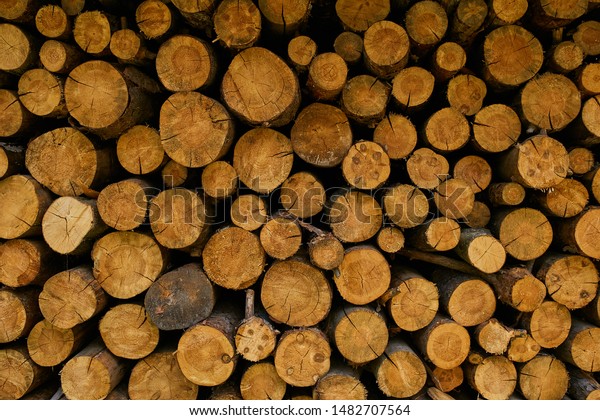 Wall Stacked Wood Logs Background Stack Royalty Free Stock Image