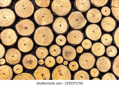 Wall Of Stacked Wooden Logs As Background. Round Wood Grain. Wood Logs In A Pile