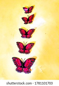 wall stickers of beautiful 5 butterflies showing unity and beautiful ascending and descending order - Shutterstock ID 1781101703