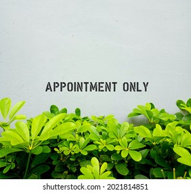 Wall With Text Sign APPOINTMENT ONLY, Covid-19 Vaccination Location For Appointment Schedule People Or Polite Reminder No Walk In Allow Sign For Business Place