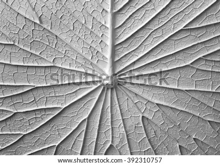Similar – Image, Stock Photo outburst Window pane