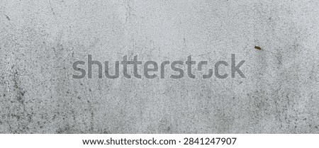 Wall texture background with rustic plaster, grimy details, and distressed surfaces creating an old weathered appearance.
