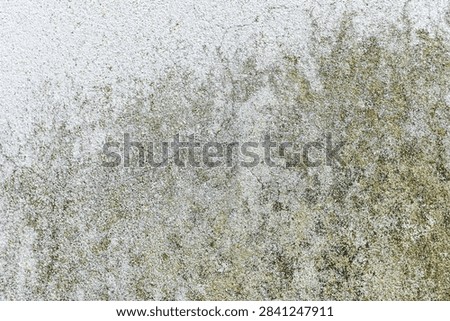 Wall texture background with rustic plaster, grimy details, and distressed surfaces creating an old weathered appearance.
