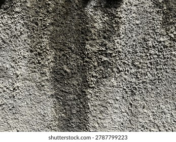 Wall texture whose surface is rough, granular and moldy