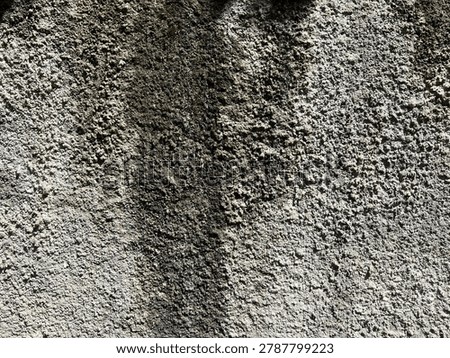Wall texture whose surface is rough, granular and moldy