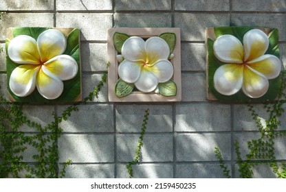 The  wall tile in the tropical garden, was designed as white plumeria flowers, is a dimensional images.