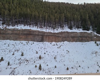 Wall Of Trees Treeline Snowy Black Hawk