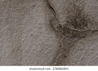 WALL: UltraHigh Resolution Texture Surface, 61MP High-Focus Wall, Material Archive