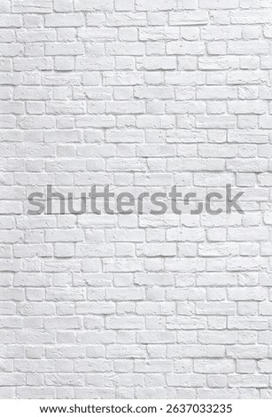 wall with white brick background