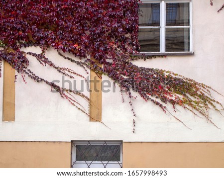 Image, Stock Photo UT I Only floating is more beautiful I Balcony