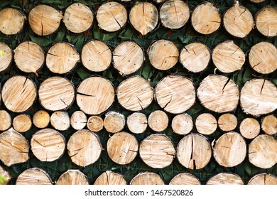 The wall of wooden cuts of logs of different sizes