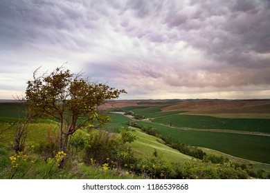 Walla Walla Farm Land In Washington State