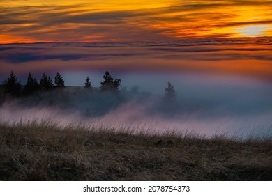 Walla Walla Valley Foggy Sunset