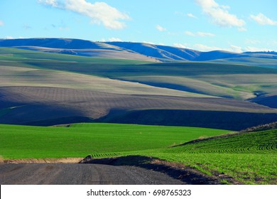 Walla Walla WA Farmland Mountains