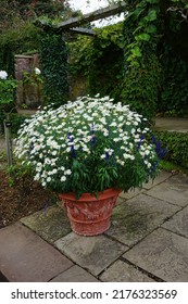 A Walled Garden In A Cheshire Country Estate