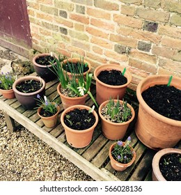 Walled Gardens, Kelmarsh Hall, Northamptonshire