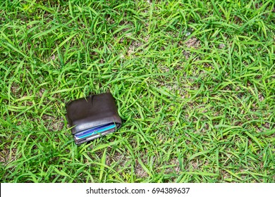 Wallet drop on grass background
