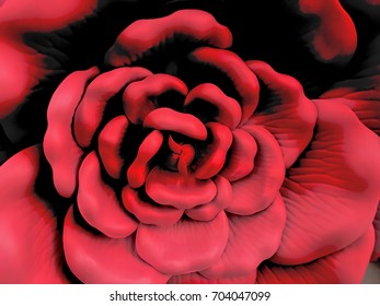 Wallflower