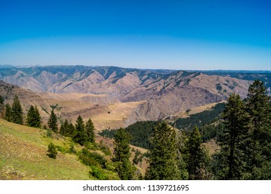 144 Floresta Nacional Wallowa Whitman Images, Stock Photos & Vectors ...