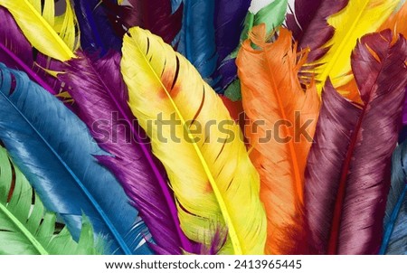 wallpaper 3d classic Feathers colorful