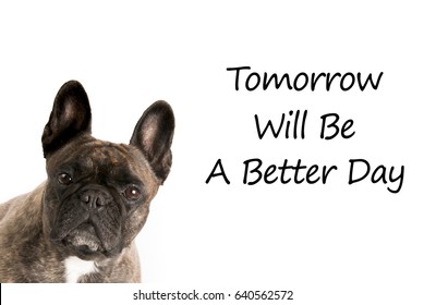 Tomorrow Will Be Better Day Images Stock Photos Vectors Shutterstock