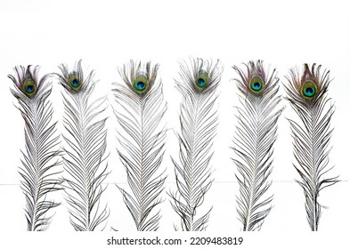wallpaper of some colored peacock feathers isolated on white background with copy space - Shutterstock ID 2209483819