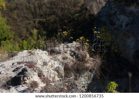 Similar – Beautiful young woman thinking and sitting on the rocks outdoors on the countryside