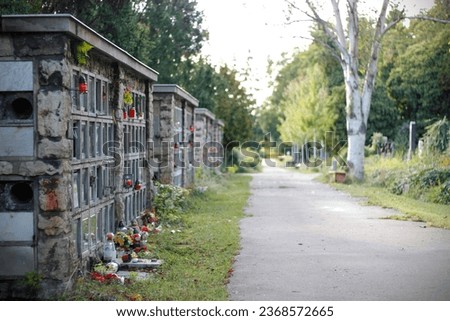 Walls with cremation niches and footpath in the Vinohrady cemetery in Prague, Czech republic, in late summer. Row graves for cinerary urns with decorations. All Souls' day concept.