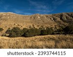 Walls Rising Over Dog Canyon In Guadalupe Mountains National Park