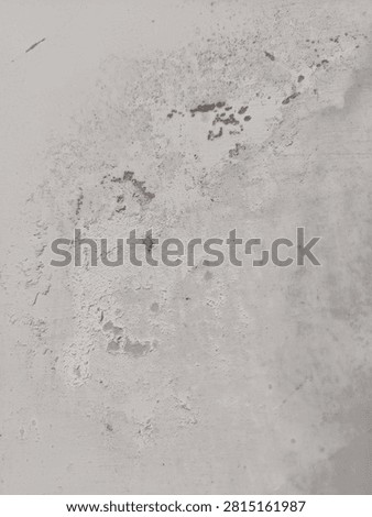 walls whose paint is damaged and cracked