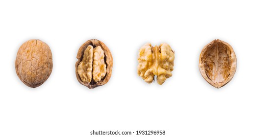 Walnut, Closed, Opened, Half, Kernel And Shell Placed In A Row On A White Background. The View From The Top. Banner