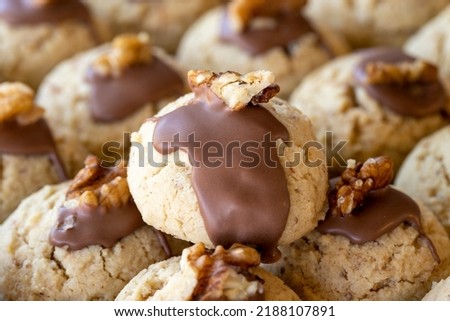 Walnut cookies. Freshly baked chocolate walnut cookies in a tray. close up