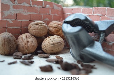 Walnut Cracker In Front Of Wet Walnuts And Sawdust On The Floor