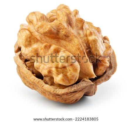 Walnut half isolated. Walnut half with nut peel on white background. Walnut kernel. With clipping path. Full depth of field.