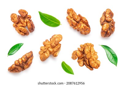 Walnut Isolated. Walnut kernel Nut  on white background. Collection. Top view. Flat lay
