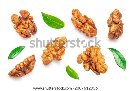 Walnut Isolated. Walnut kernel Nut  on white background. Collection. Top view. Flat lay
