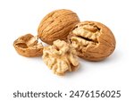 Walnut isolated on white background