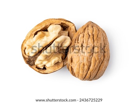 Walnut isolated on white background